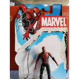 Marvel Universe Spider man