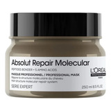 Máscara Capilar Loreal Absolut Repair Molecular 250ml 
