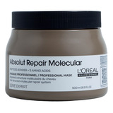 Máscara Capilar Loreal Absolut Repair Molecular 500ml 
