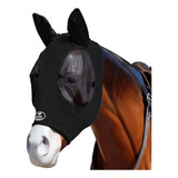 Cavalo