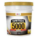 Massa Tapa Tudo Super Flexível Furos Trincas 5000 Pote 340g