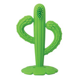 Massageador De Gengiva Cacto
