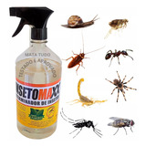 Mata Insetos Formigas 100 Natural Insetomaxx 500 Ml