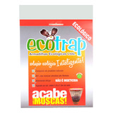Moscas
