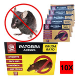Mata Rato Ratoeira Adesiva Cola Forte Pega Rato Visgo 10 Pçs