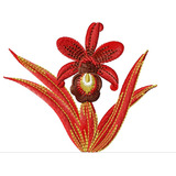 Orquídeas