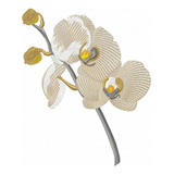 Orquideas