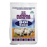 Matsuda Winter Fos Boi