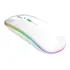 Mause Sem Fio Recarregável Ergonômico Wireless Sem Barulho