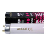 Maxxi Lampada Luz Do