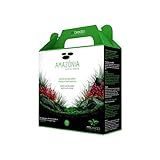 Mbreda Substrato Fértil Amazônia 2 5 Kg