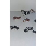Animais