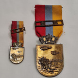Medalha E Miniatura Mérito Anfíbio 2