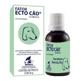 Medicamento Homeopático Fator Ecto Cão 26g Arenales