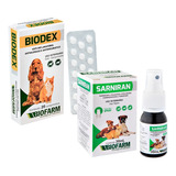 Medicamento Sarnas dermatite Corticoide Cães E Gatos