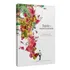 Medicina E Saúde, De Clayton Bianchini Levy (médium), Augusto (espírito). Editorial A.kardec, Capa Mole Em Português, 2005