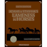 Medicina Equina Lameness In