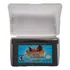 Mega Man Battle Network 6 Cybeast Falzar Game Boy Advance