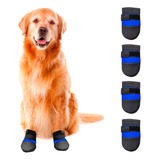 Meias Sapatos Tenis Botinha Caes Cachorro Gato Pet Shop Com