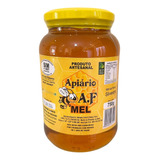 Mel 100  Puro E Artesanal 750g   Silvestre   Sem Glútem