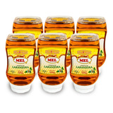 Mel 500g Florada De Laranjeira Flora Nectar 6 Unidades