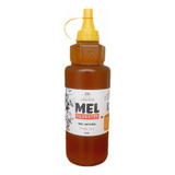 Mel Abelha 1kg Silvestre Apicuario Familiar Sem Açucar Puro
