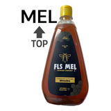 Mel Abelha Puro 100 Florada Silvestre Premium Gourmet 1 Kg