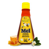 Mel De Abelha 100 Puro Orgânico 500g Florada Silvestre