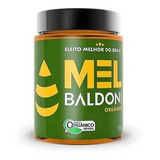 Mel Jarra Orgânico Vidro 500gr