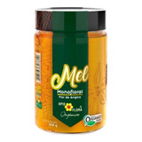 Mel Orgânico Puro Natural De Abelha Apis Flora Angico 480g