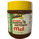 Eucalípto