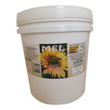 Mel Puro Balde 14 Kg Florada Silvestre Seiva Das Flores