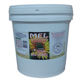 Mel Puro Balde Com 5 Kg Florada Laranjeira Seiva Das Flores