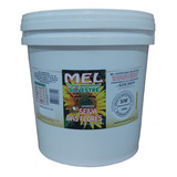 Mel Puro Balde Com 5 Kg Florada Silvestre Seiva Das Flores