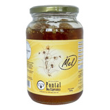 Mel Puro Com Favo De Verdade 100 Natural E Puro 800g