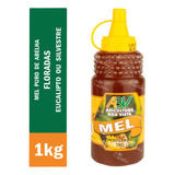 Mel Puro De Abelha Bisnaga Premium 1kg