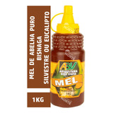 Mel Puro De Abelha Bisnaga Promoção 1kg