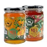 Mel Puro Florada Laranjeira 450g E Mel Eucalipto 450g Mel De Abelha 100 Natural Dona Beia