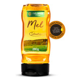 Mel Silvestre Premium Puro De Abelha 280g Melbras