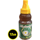 Mel Silvestre Puro De Teresópolis 260g Kit C 12un