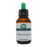 Melão De São Caetano Extrato 60ml