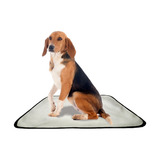 Melhor Marca De Tapetes Higiênicos Laváveis M 2 Un Pet