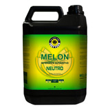 Melon Shampoo 1 400 Concentrado 5l