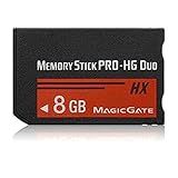 Memory Stick Pro hg