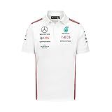 Mercedes AMG Petronas Formula One Team