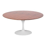 Mesa Saarinen Tulipa