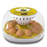 Meuiosd Incubadora De Ovos Para Pintinhos Para Incubação 12 A 24 Incubadoras De Ovos Com Giro Automático Recarga Automática De água Tela Fahrenheit Incubadora De Aves De Capoeira Com Visão De 360 