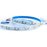 Mgc Fita Led 2835 6000k 3000k 5mts 10w m 120 Leds m 12v Ip20 Cor Da Luz Branco frio