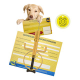 Micro Chip Cães Cachorros Pet Medalha Qr Code 5 Unidades