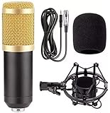Microfone Estúdio Profissional Condensador Bm-800 Dourado